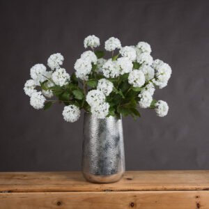 The Natural Garden Collection White & Apricot Allium