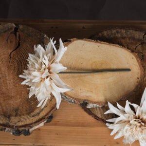 Eucalyptus Stem Spray