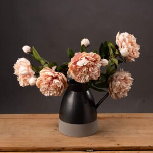 Butter Portland Rose