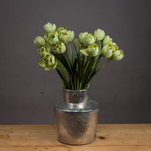 Green Hellebore Plant In Taupe Pot