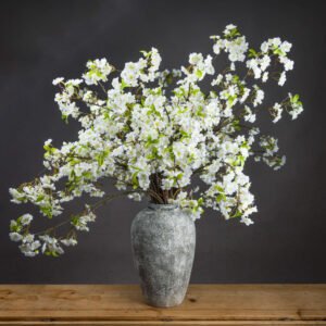 The Natural Garden Collection White & Apricot Allium