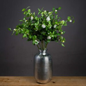 Cream Protea Lorea Stem