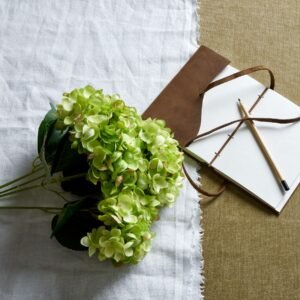 Green Hellebore Plant In Taupe Pot