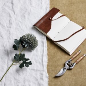 White Dahlia Stem