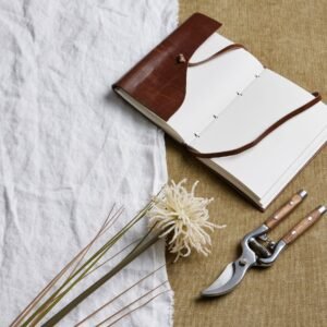 White Dahlia Stem