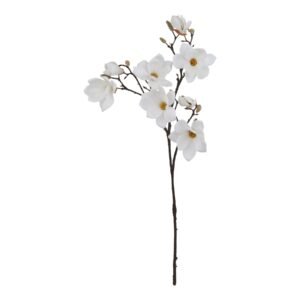 The Natural Garden Collection White & Apricot Allium