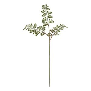 The Natural Garden Collection Large Bracken Fern Spray