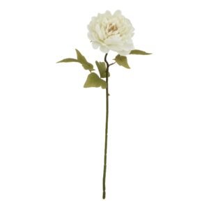 The Natural Garden Collection White & Apricot Allium
