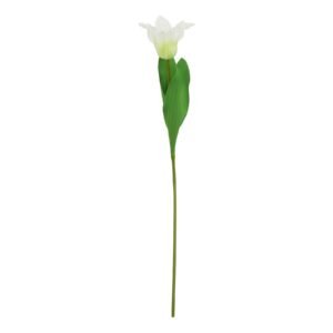 The Natural Garden Collection White & Apricot Allium