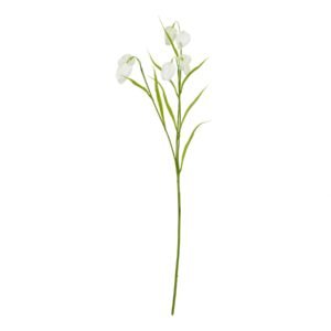 The Natural Garden Collection White & Apricot Allium