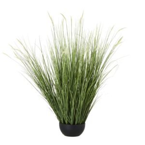 Apulia Olive Tree In White Pot 150Cm