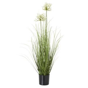 Small Giana Eucalyptus Plant In Grey Pot