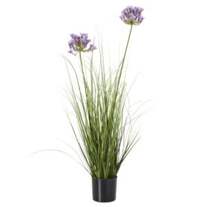 Small Giana Eucalyptus Plant In Grey Pot