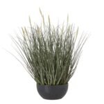 Apulia Olive Tree In White Pot 180Cm
