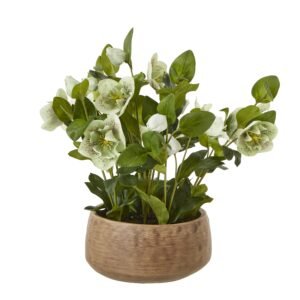 Apulia Olive Tree In White Pot 180Cm
