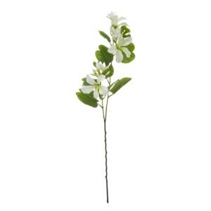 Cream Protea Lorea Stem