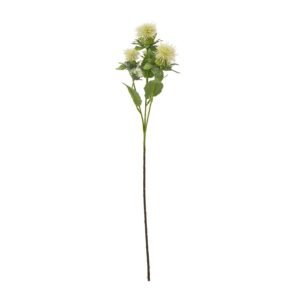 Cream Pearl Clematis Spray