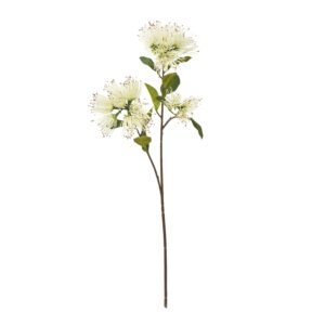 Cream Globe Thistle Spray