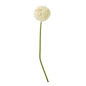 Shabby Green Single Hydrangea