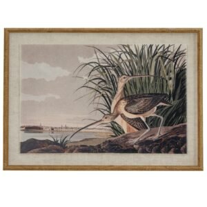 Atol Coral Art Mounted In Beaded Frame