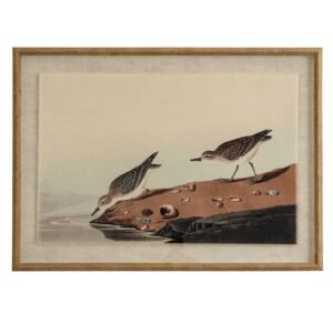 Flora & Fauna Collection Teals On Linen In Beaded Frame