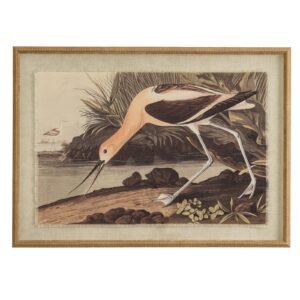 Atol Coral Art Mounted In Beaded Frame