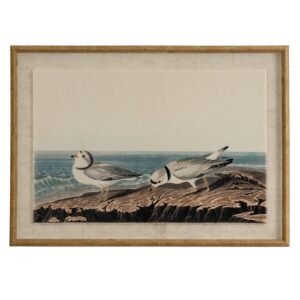 Atol Coral Art Mounted In Beaded Frame