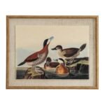 Atol Coral Art Mounted In Beaded Frame