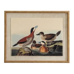 Atol Coral Art Mounted In Beaded Frame