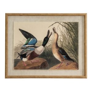 Atol Coral Art Mounted In Beaded Frame